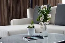 Hotel Live Aqua Boutique Resort Playa Del Carmen