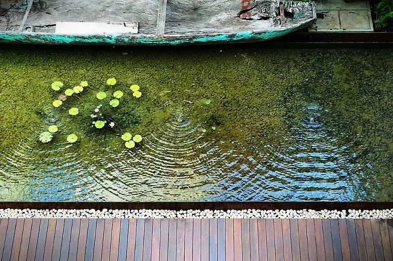 Hotel Live Aqua Boutique Resort Playa Del Carmen